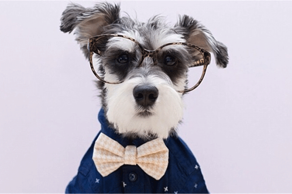 1518318633541174.gif sadeuiop.gif